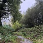 Group logo of Arregaça Stream